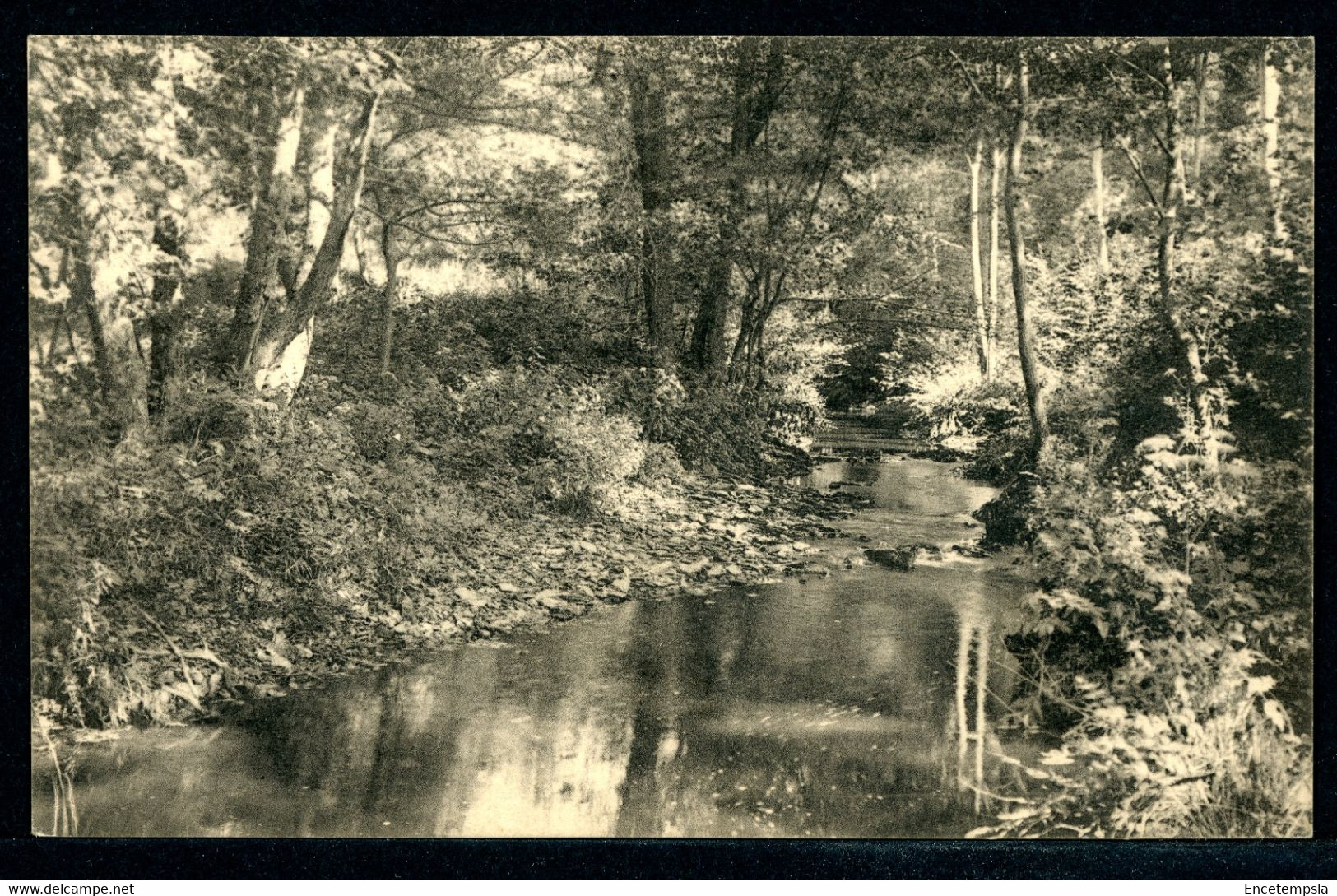 CPA - Carte Postale - Belgique - Habay la Neuve - Sous Bois près du Pont d'Oie (CP19294)