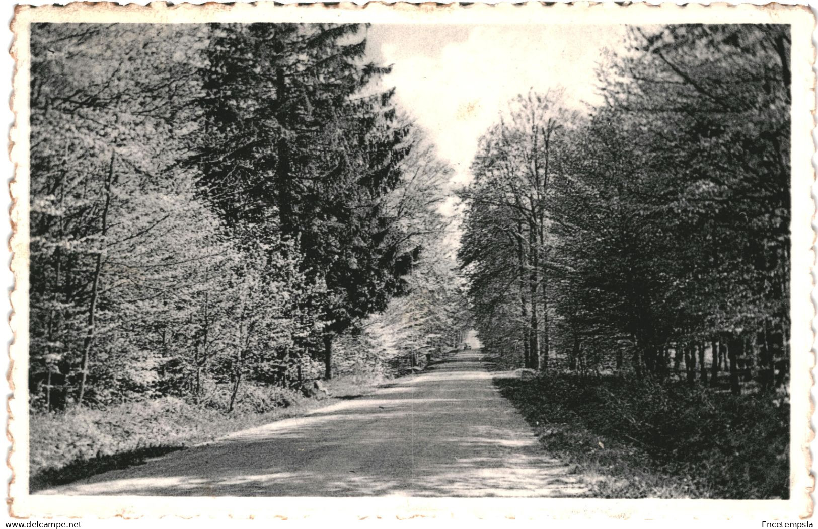 CPA  Carte postale Belgique  HautFays  Route de Wellin  VM85822