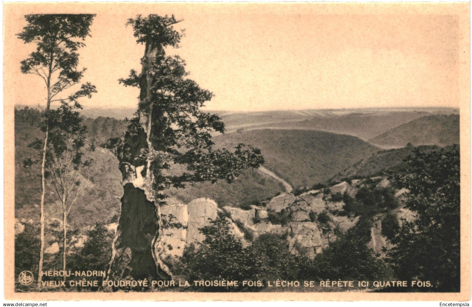 CPA Carte postale Belgique Hérou-Nandrin Vieux chêne foudroyé une troisième fois    VM85972