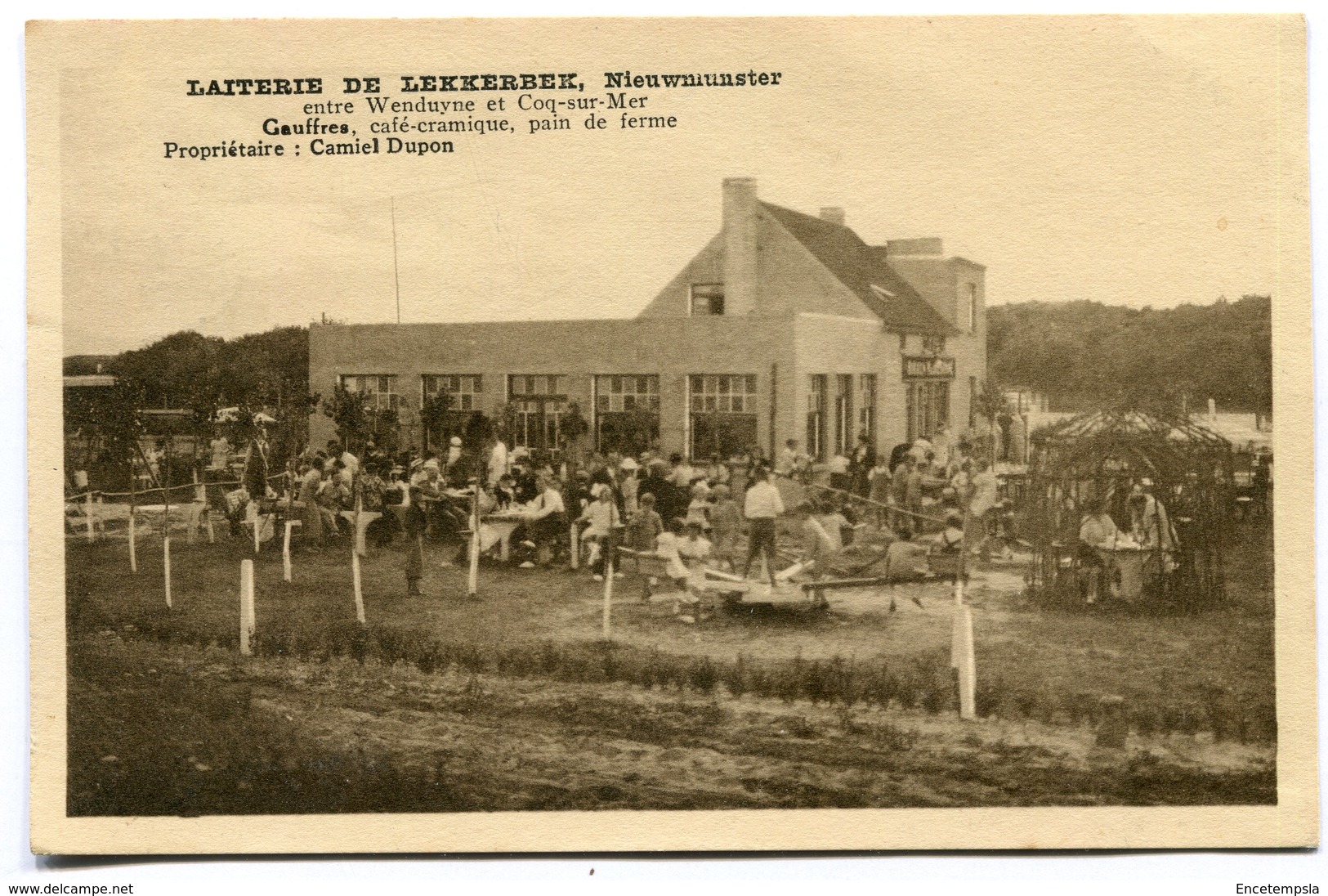 CPA - Carte Postale - Belgique - Laiterie de Lekkerbek - Nieuwmunster ( SVM11945 )