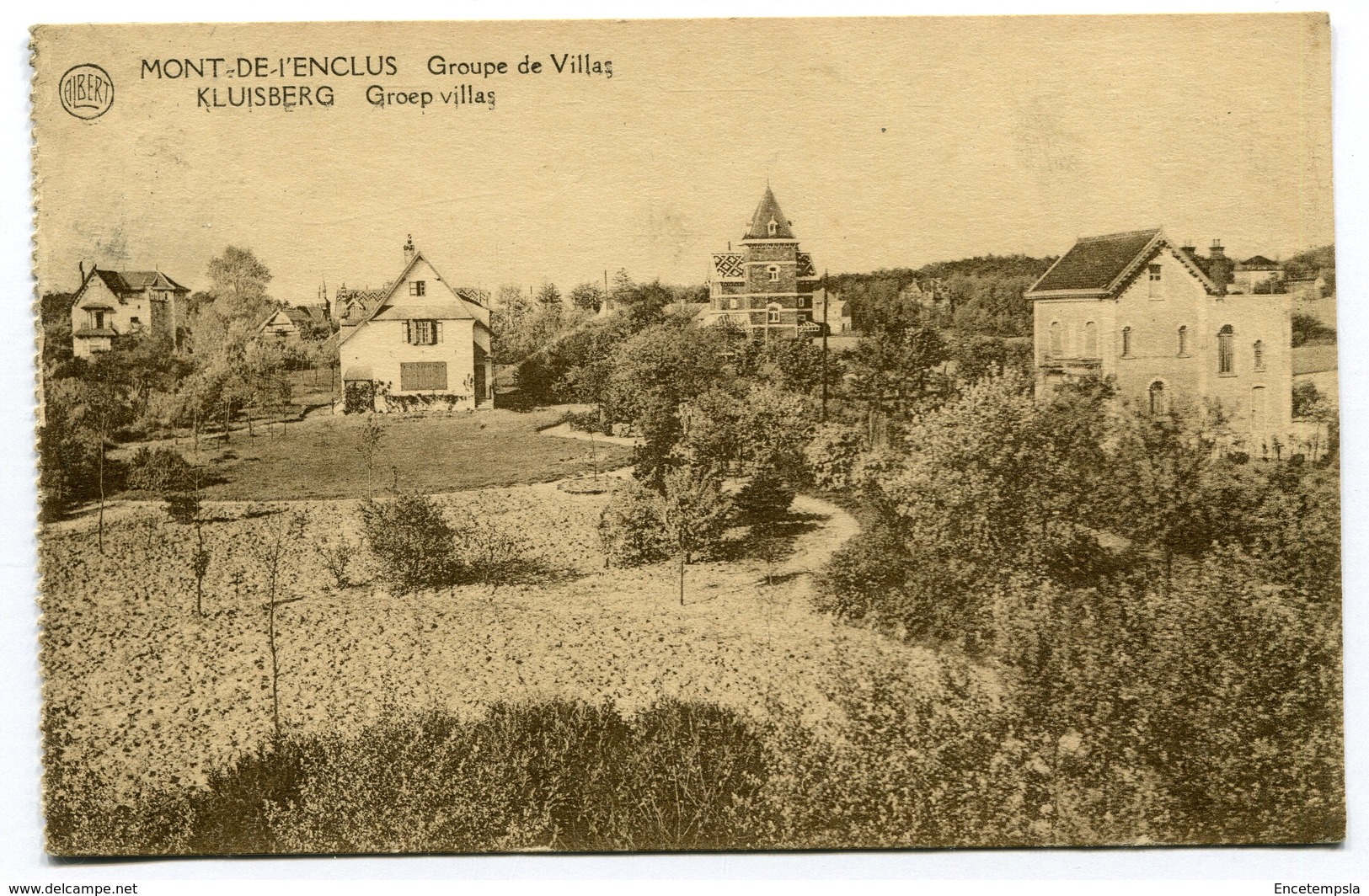 CPA - Carte Postale - Belgique - Mont-de-l'Enclus - Groupe de Villas  ( SVM11804)