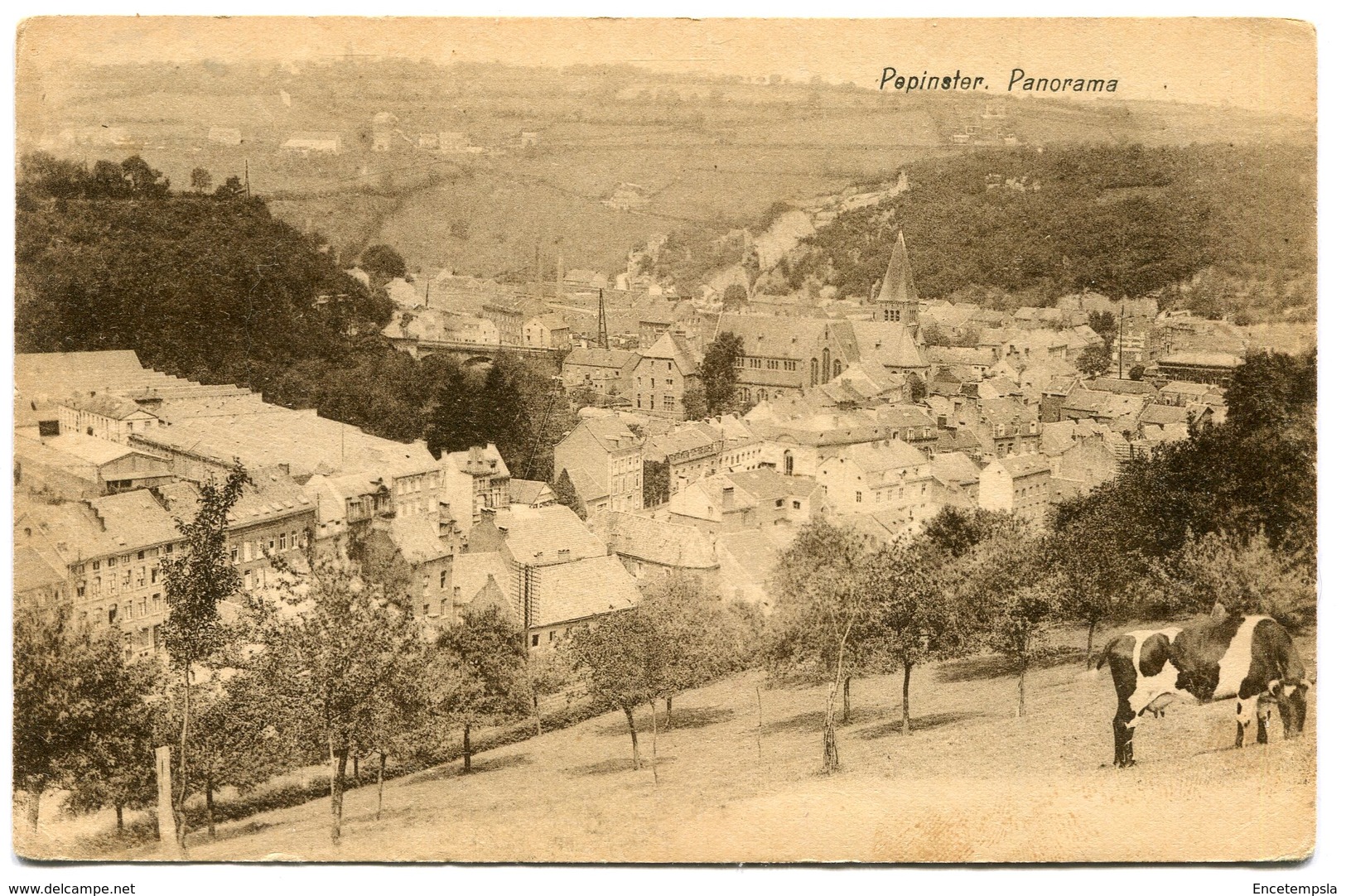 CPA - Carte Postale - Belgique - Pépinster - Panorama (M8393)