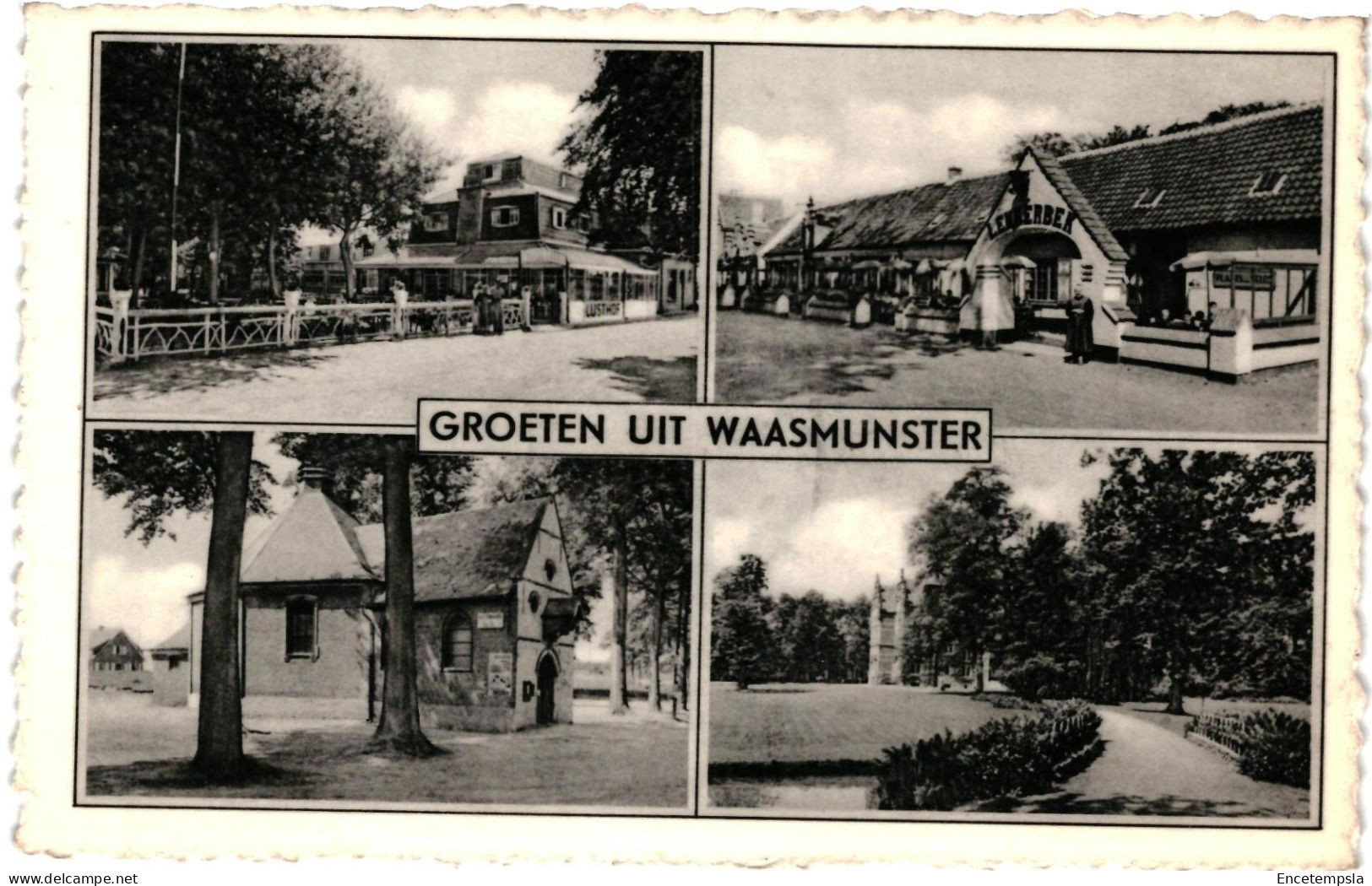 CPA  Carte Postale  Belgique Waasmunster Groeten uit Waasmunster multi vues VM105655ok