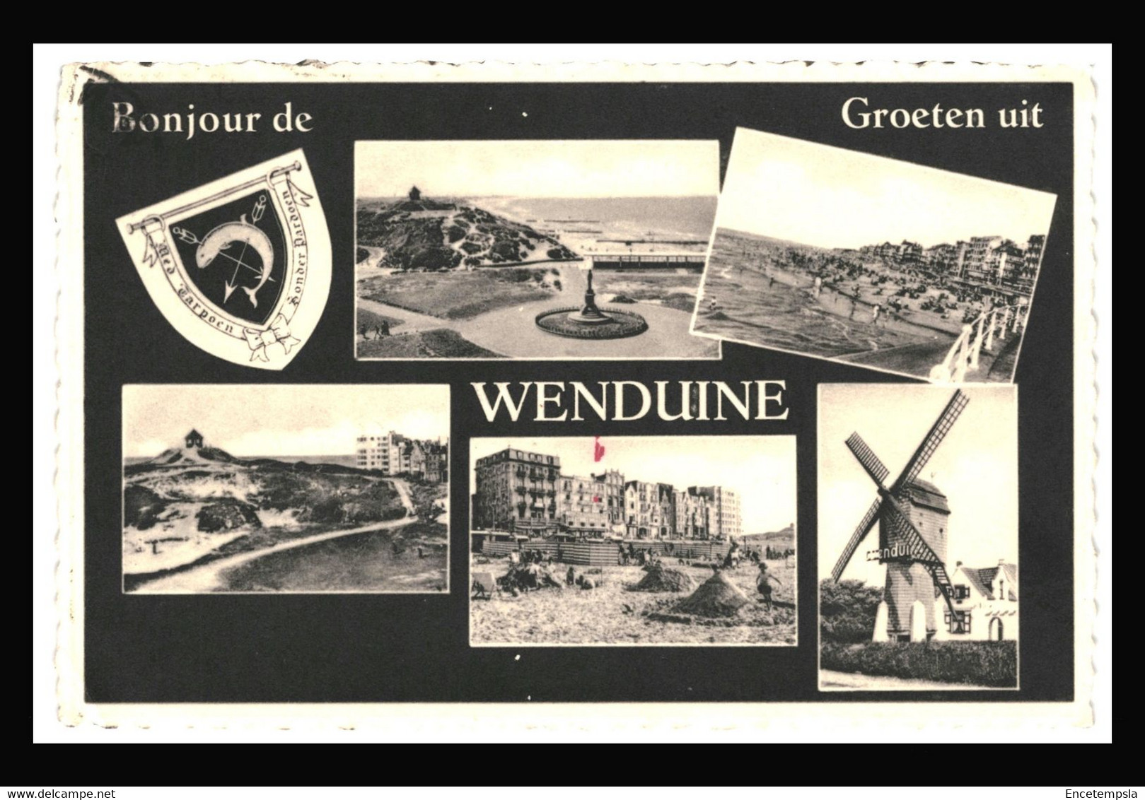 CPA  Carte Postale -Belgique- Wenduine un Bonjour de Wenduine 1952  VM41977+