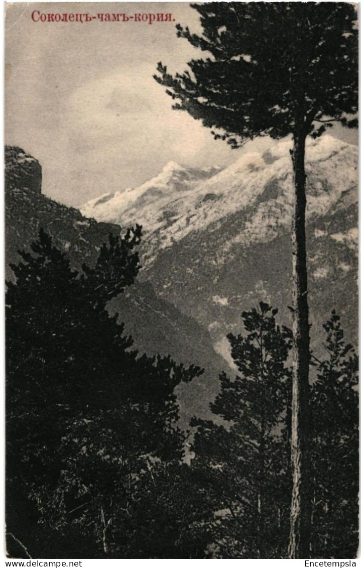 CPA   Carte Postale  Bulgarie  Sokolets-Pin-Forêt.  VM107008