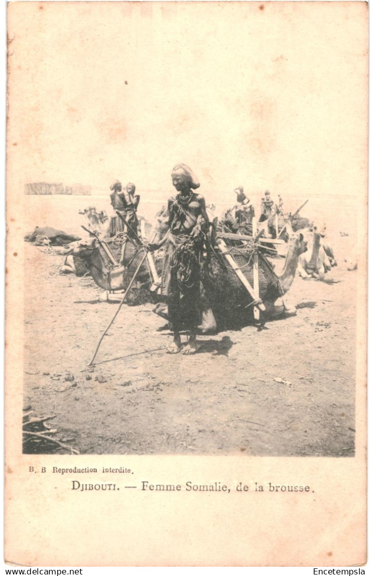CPA Carte Postale  Djibouti  Femme Somalie de la Brousse  début 1900 VM87644ok