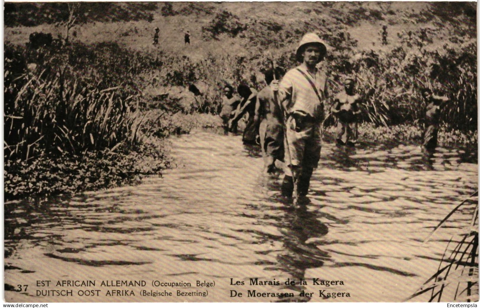 CPA Carte Postale Est Africain allemand Tanzanie Les marais de la Kagera    VM94989ok