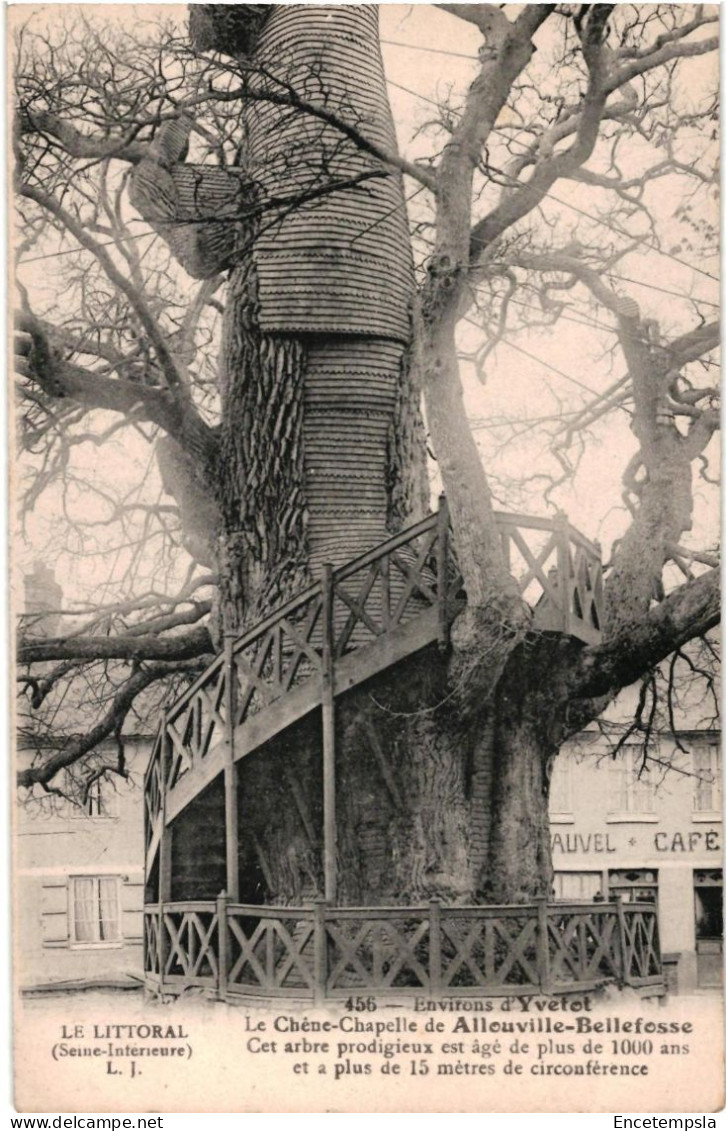 CPA  Carte Postale France Allouville-Bellefosse  Le Chêne Chapelle   VM104666