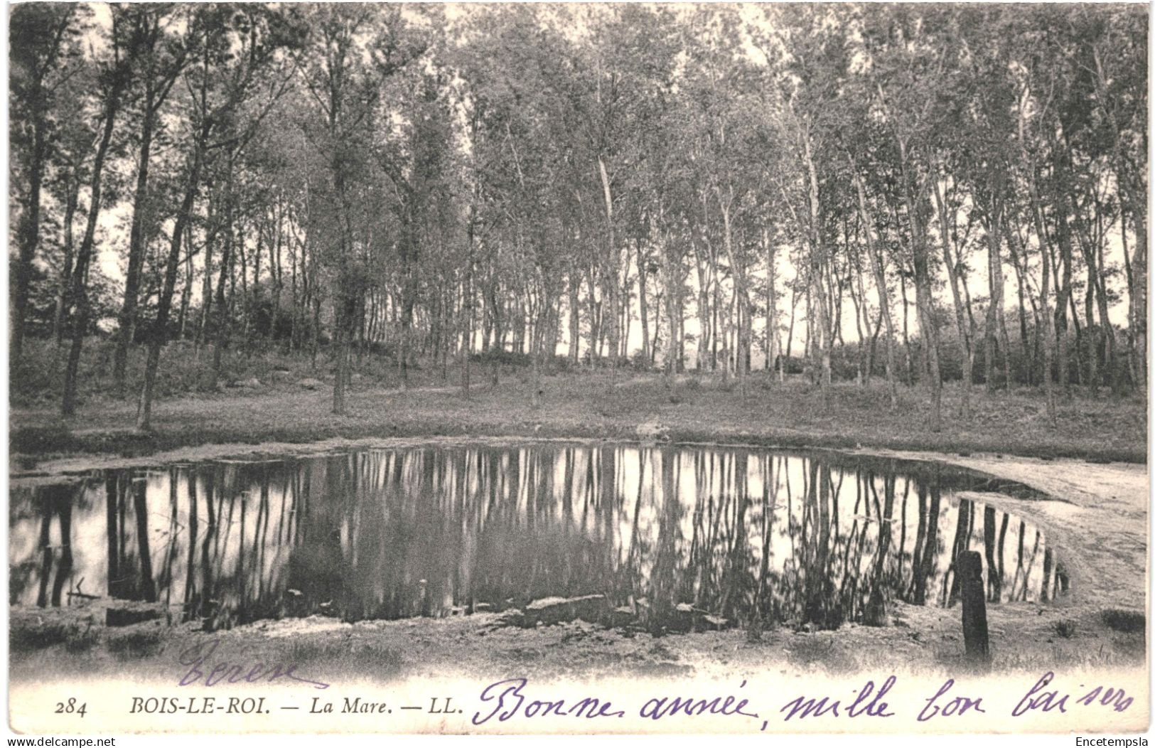 CPA Carte Postale France Bois-le-Roi  La Mare 1904 VM93130