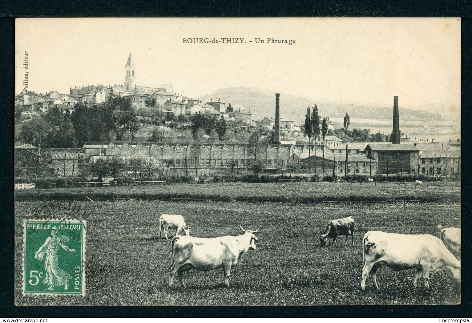 CPA - Carte Postale - France - Bourg de Thizy - Un Pâturage (CP24520)