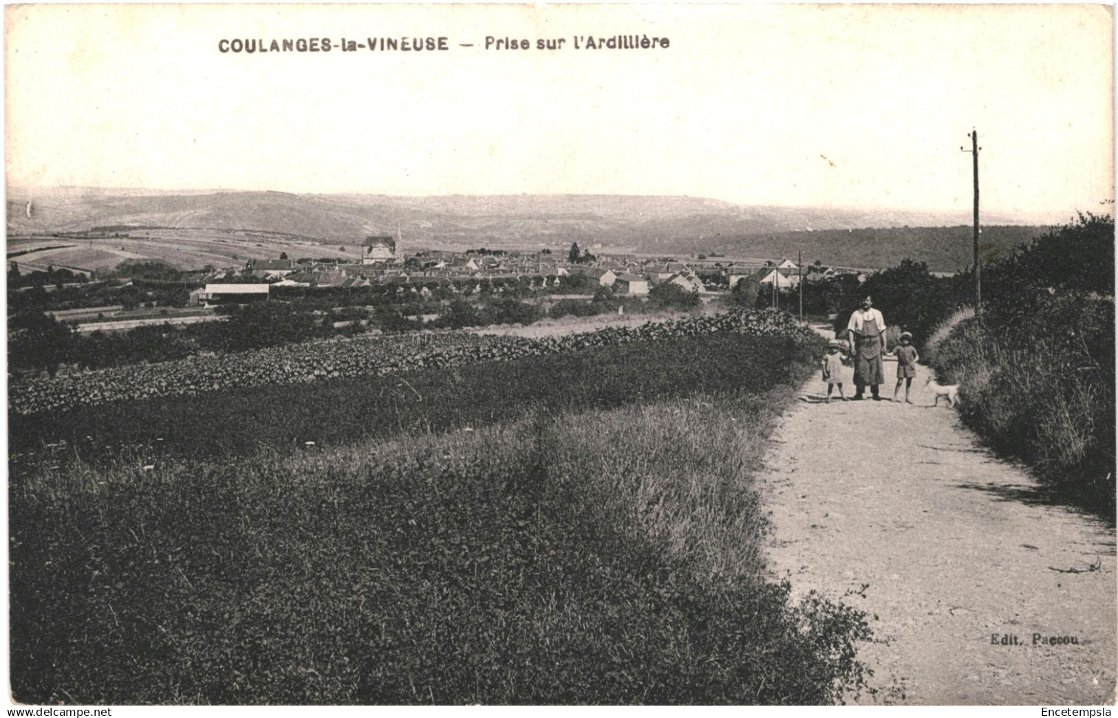 CPA Carte Postale France  Coulanges-la-Vineuse  Prise sur l'Ardillière 1926  VM92928ok