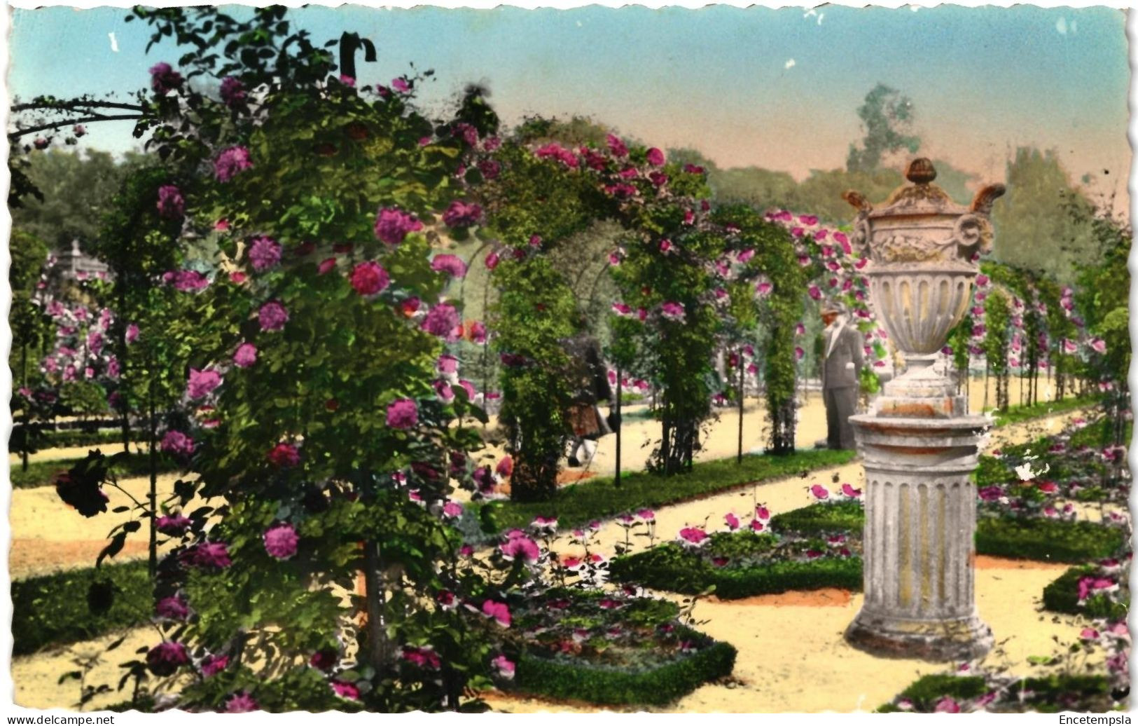 CPA  Carte Postale France L'Haÿ-les-Roses  Roses sélectionnées  1952 VM108964