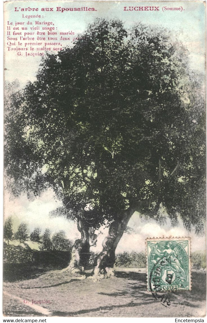 CPA-Carte Postale France Lucheux Arbre aux Epousailles 1907 VM54797