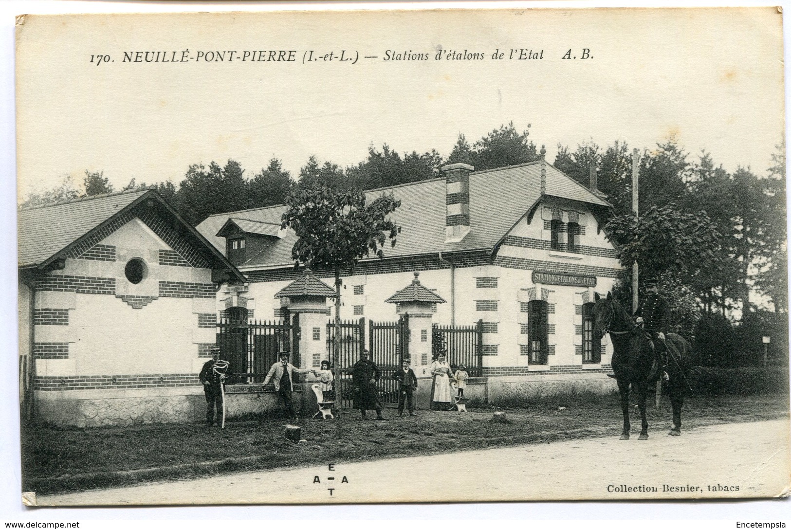 CPA - Carte Postale - France - Neuillé-Pont-Pierre - Stations d'étalons de l'Etat (I9743)