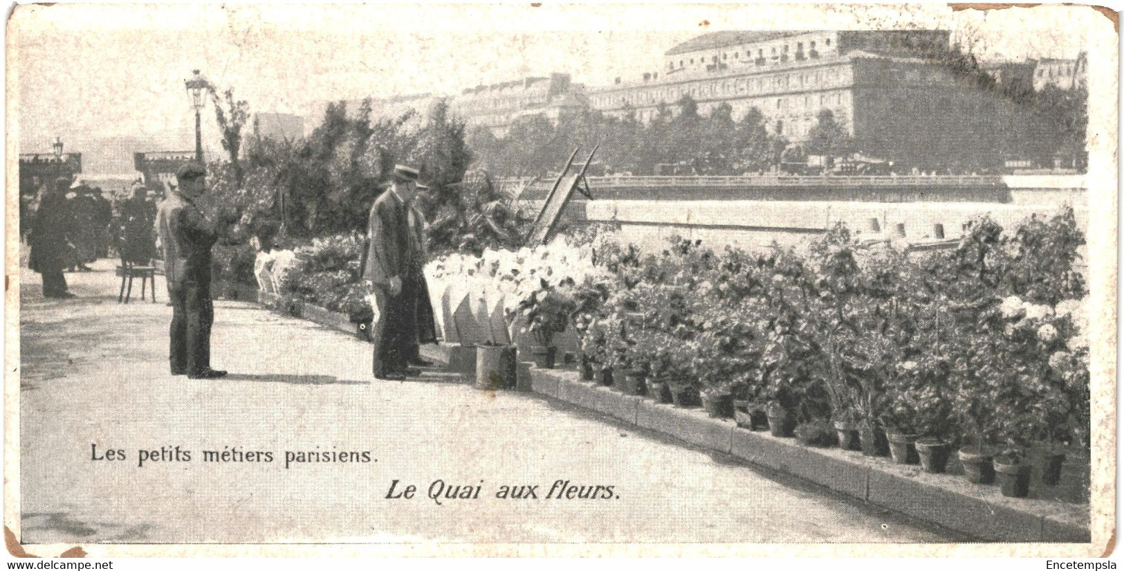 CPA  Carte postale France  Paris   Petits métiers Quai aux fleurs  VM63555ok