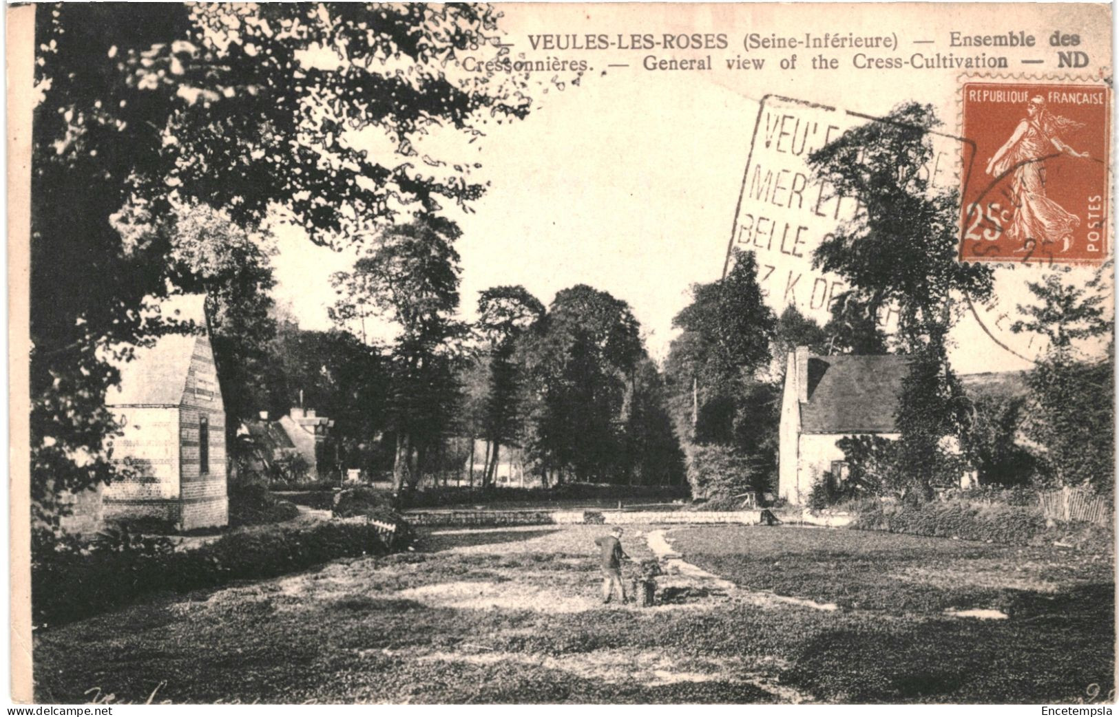 CPA Carte Postale France  Veules-les-Roses Ensemble des Cressonnières  VM78662