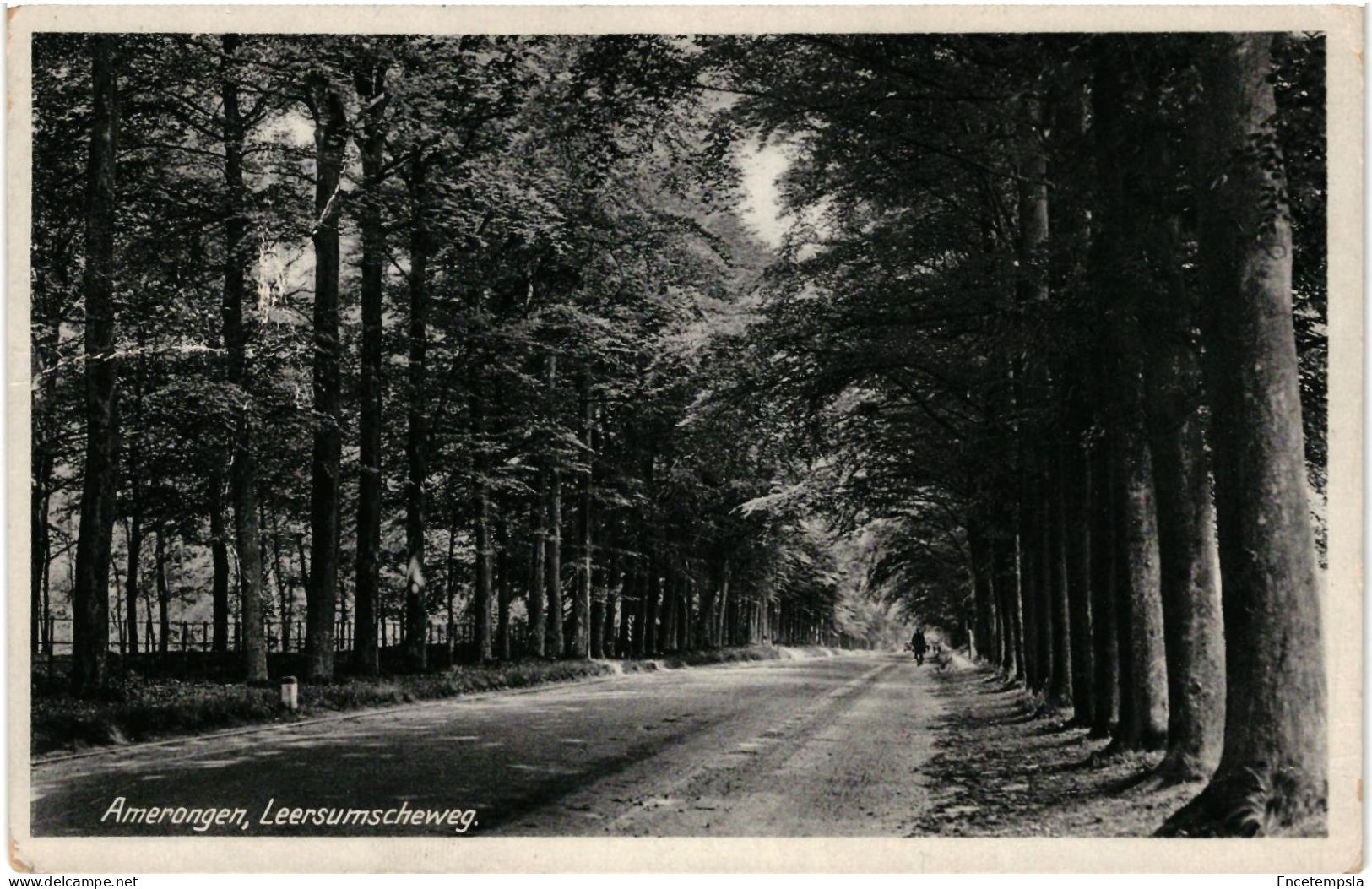 CPA Carte Postale Pays-Bas   Amerongen Leersumscheweg 1911 VM109512