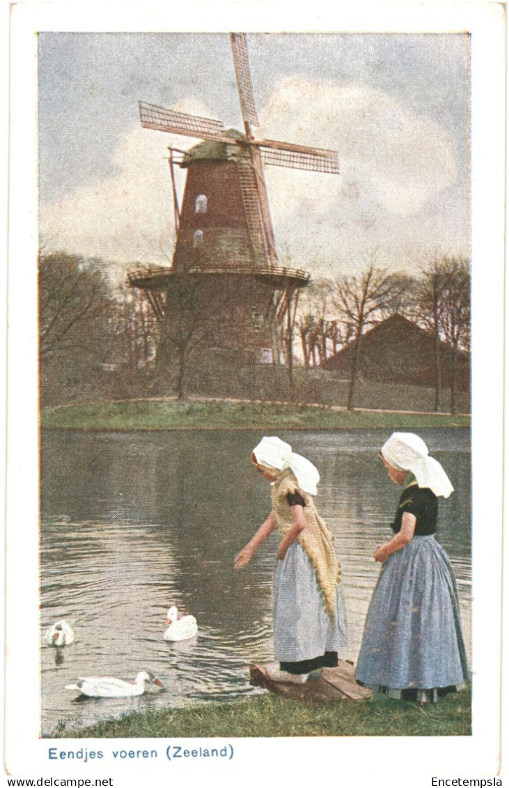 CPA  Carte Postale  Pays Bas Zeeland Eendjes voeren  VM88682