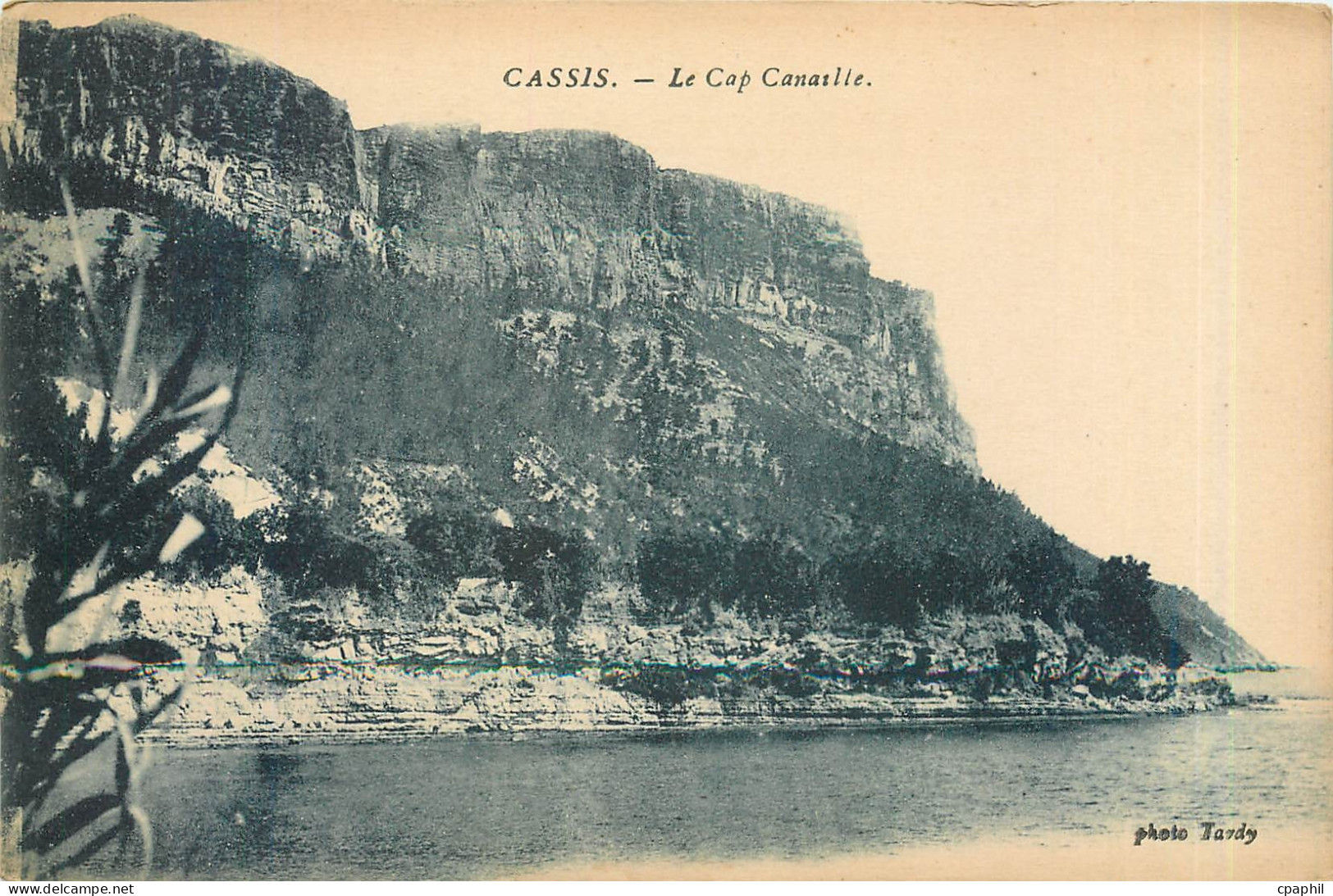 CPA Cassis - Le Cap Canaille