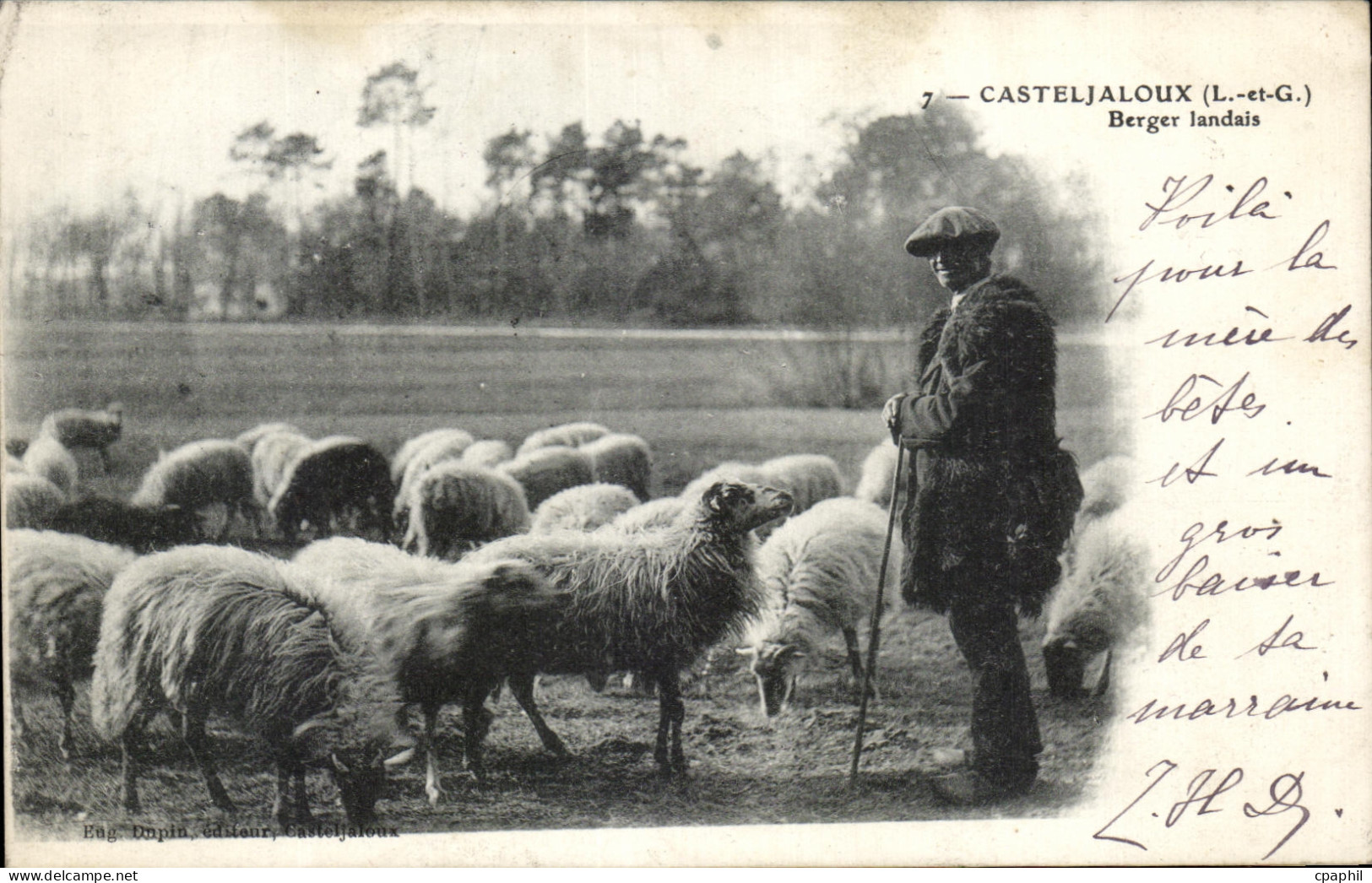 CPA Casteljaloux Berger Landais Moutons Sheep