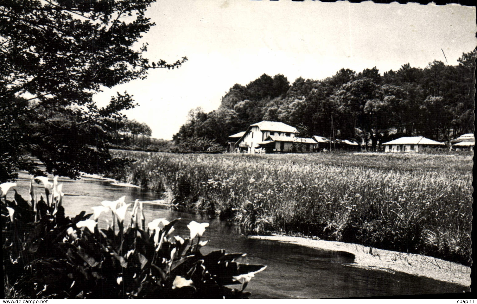 CPA Castets Landes Paysage a Fontaine Vive