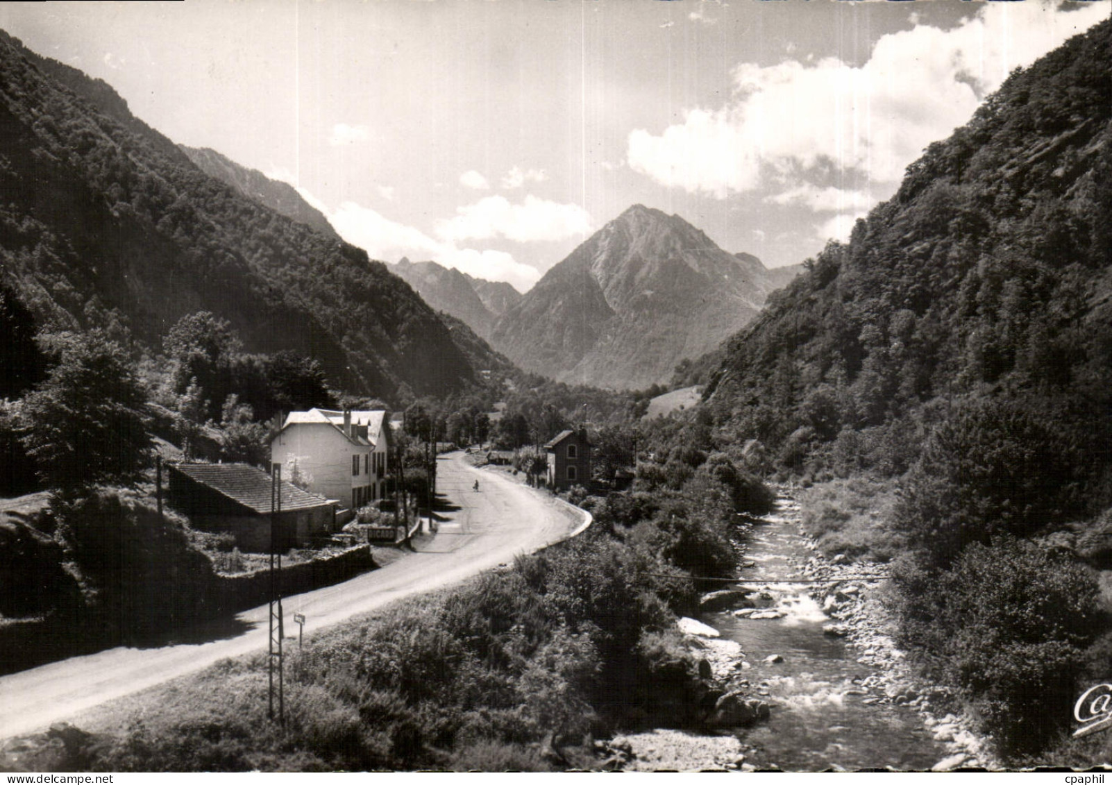 CPA Cauterets le Gave de Cauterets et la royte de Pierrefite