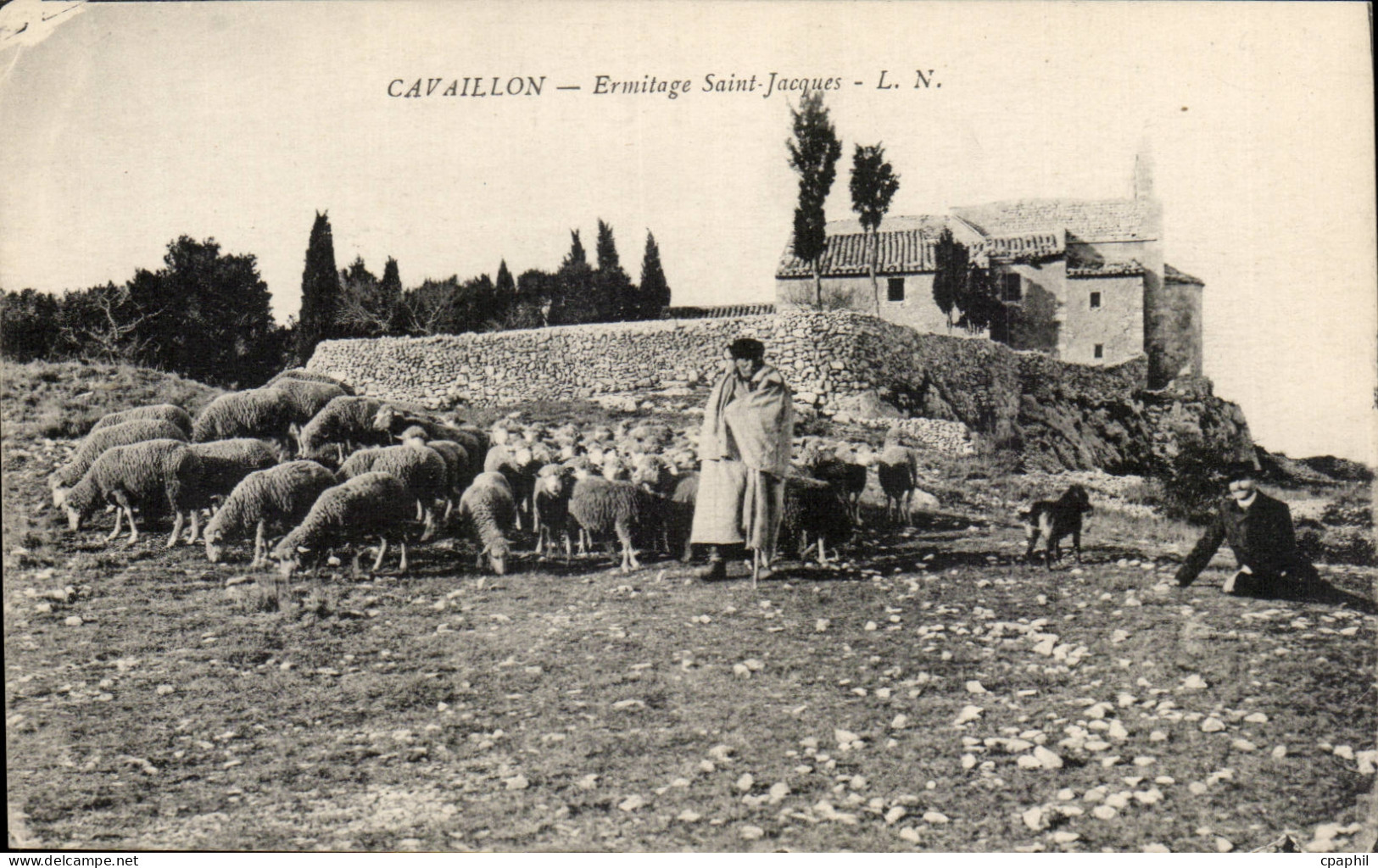 CPA Cavaillon Ermitage Saint Jacques Moutons