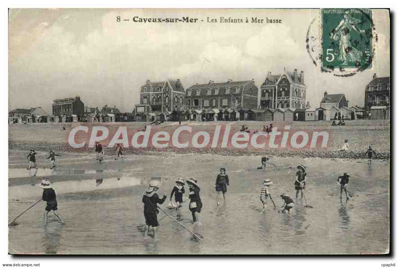 CPA Cayeux sur Mer Les Enfants a Mer basse