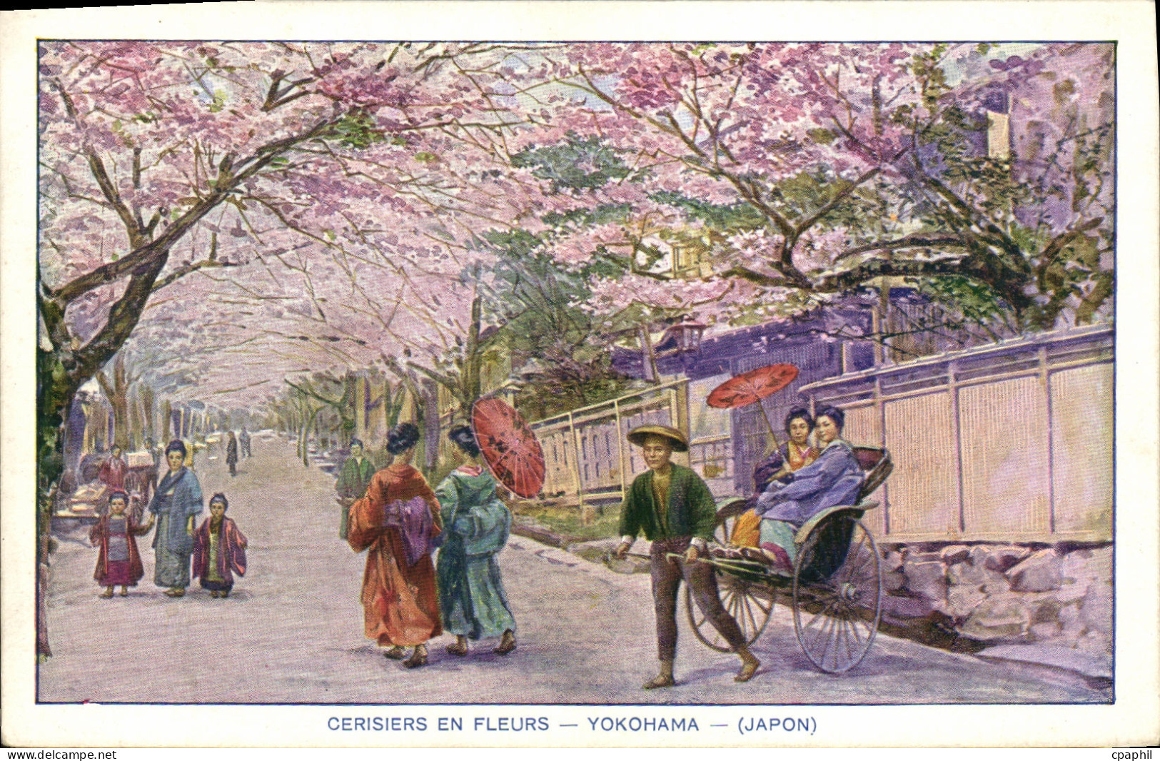 CPA Cerisiers en Fleurs Yokohama Japon Nippon