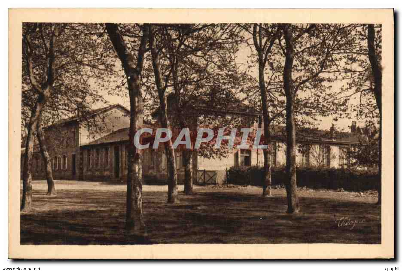 CPA Chalus Les Ecoles Communales