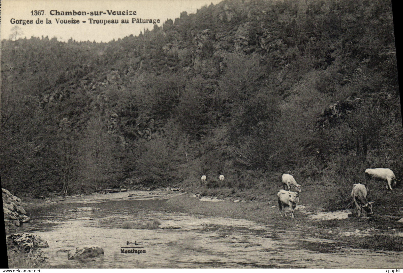 CPA Chambon Sur Voueize Gorges De La Voueize Troupeau Au Paturage