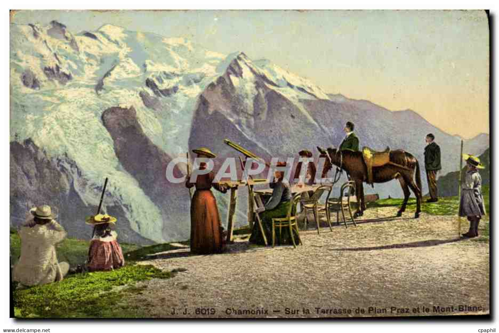 CPA Chamonix Sur la terrasse du Plan Praz et le Mont Blanc