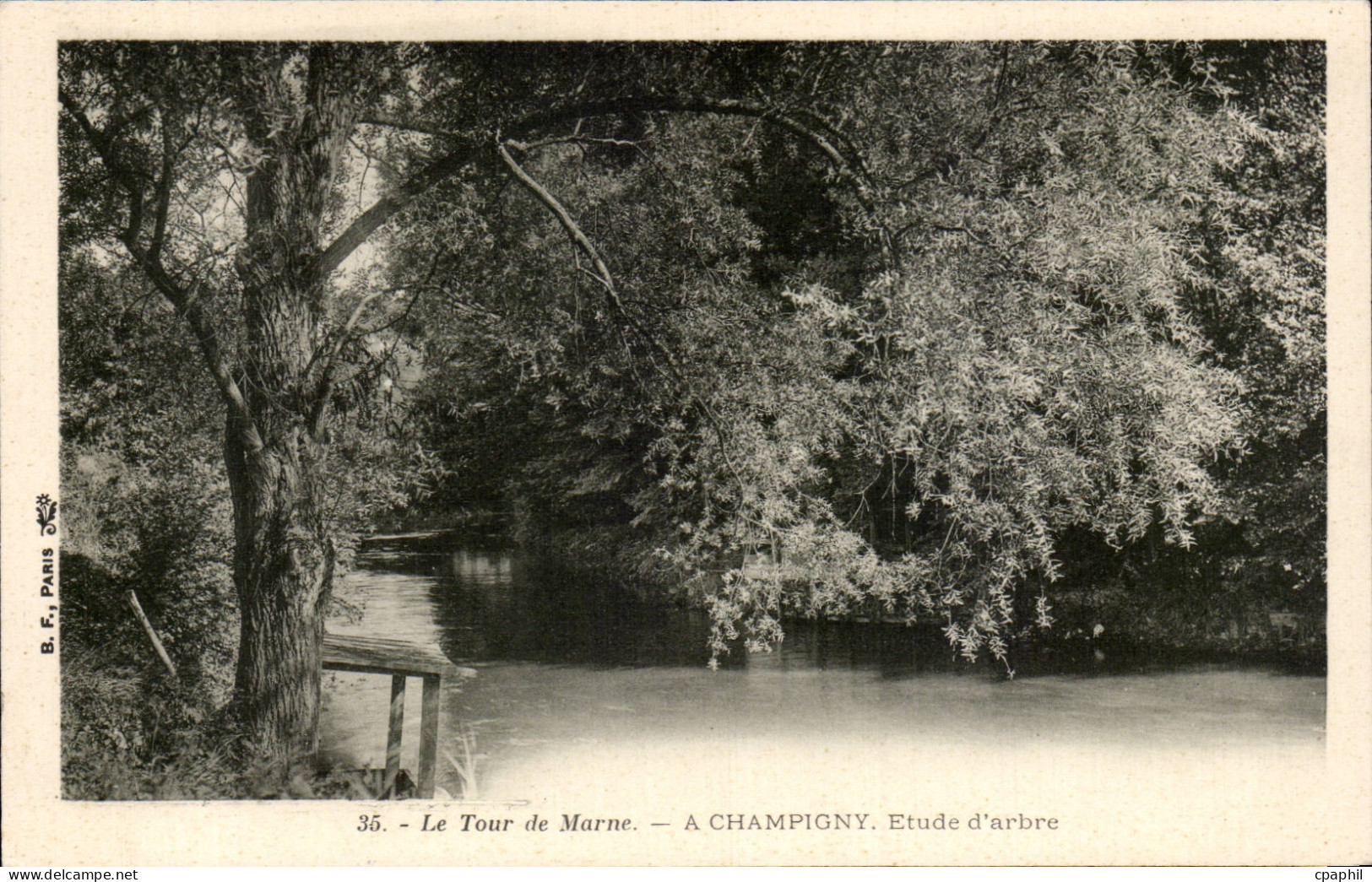 CPA Champigny sur Marne Le tour de Marne Etude d'arbre Tree