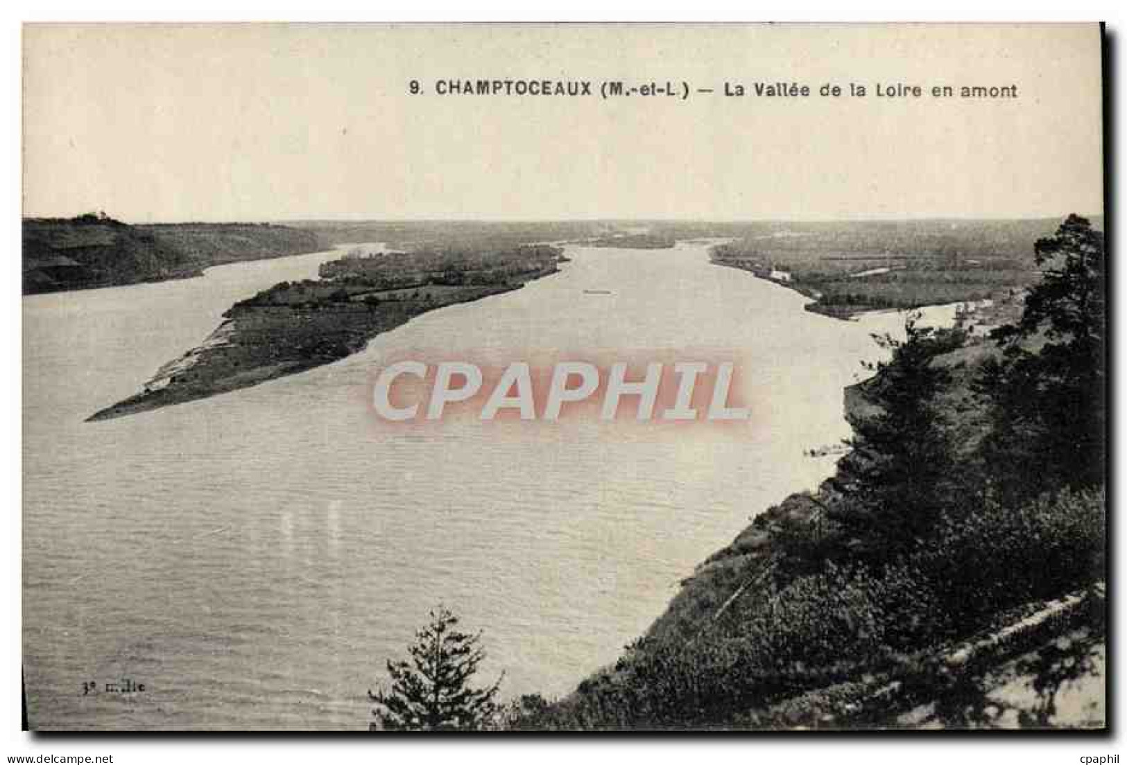 CPA Champtoceaux La Vallee De La Loire En Amont