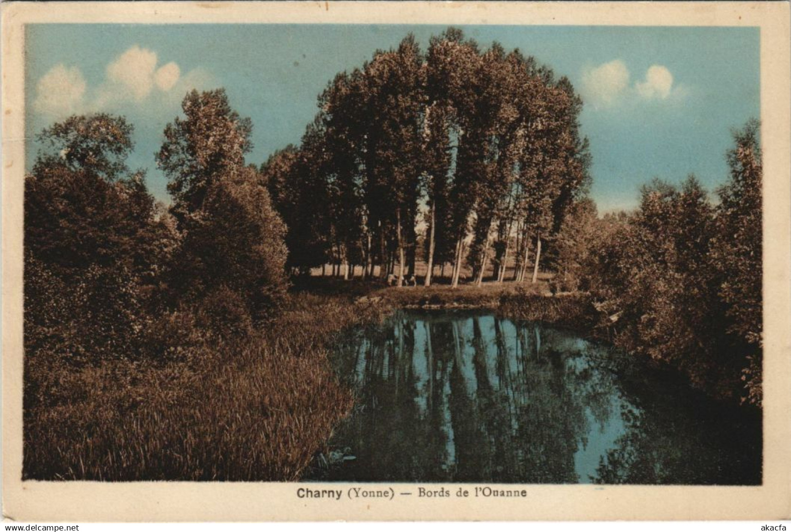 CPA CHARNY Bords de l'Ouanne (1197536)