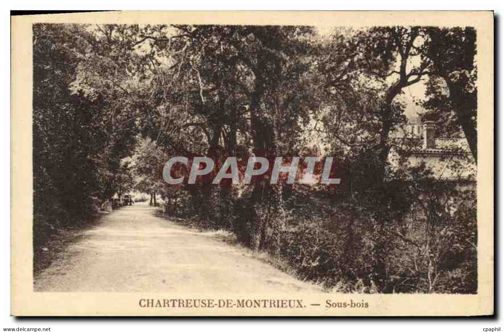 CPA Chartreuse de Montrieux Sous Bois