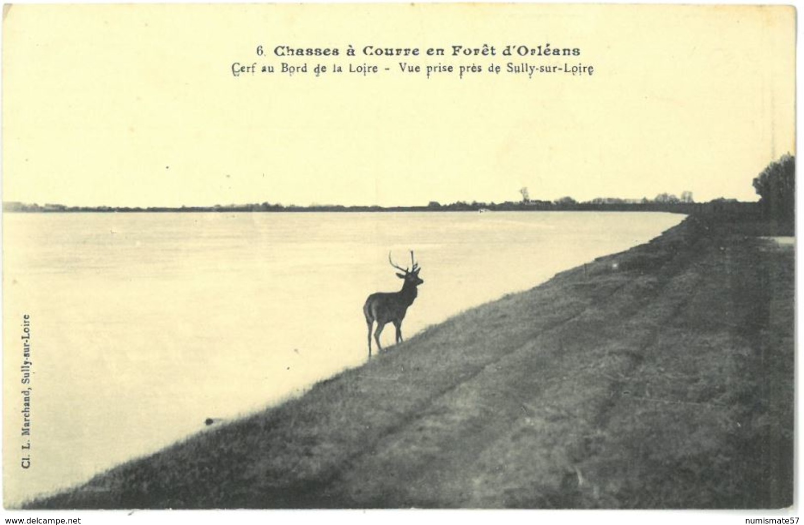 CPA CHASSE A COURRE - Cerf au Bord de la Loire - Vue prise près de SULLY SUR LOIRE