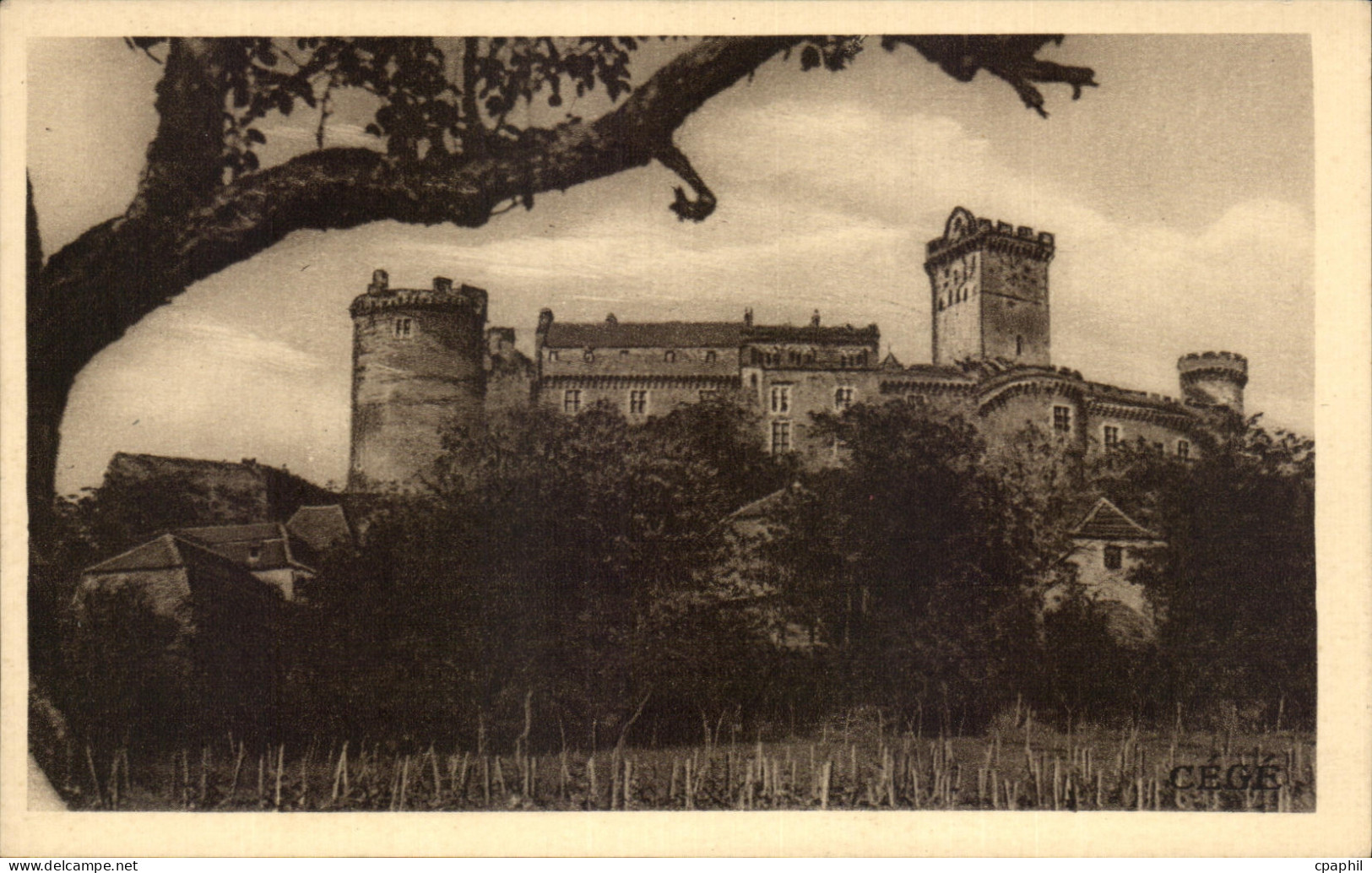 CPA Chateau De Castelnau Bretenoux