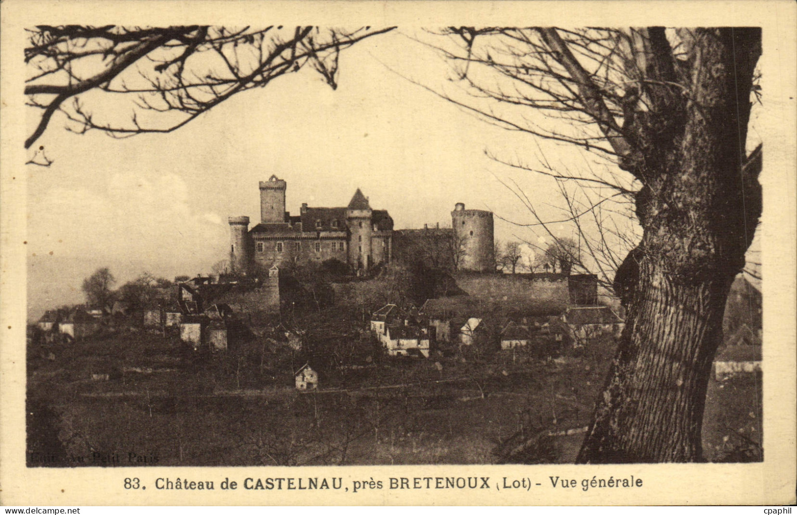 CPA Chateau De Castelnau Pres Bretenoux Vue Generale