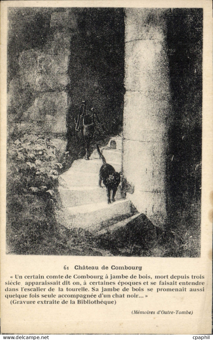 CPA Chateau de Combourg Chat