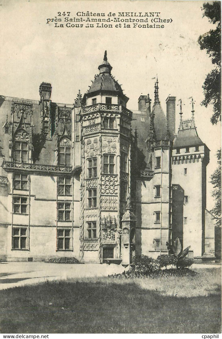 CPA Chateau de MEILLANT
