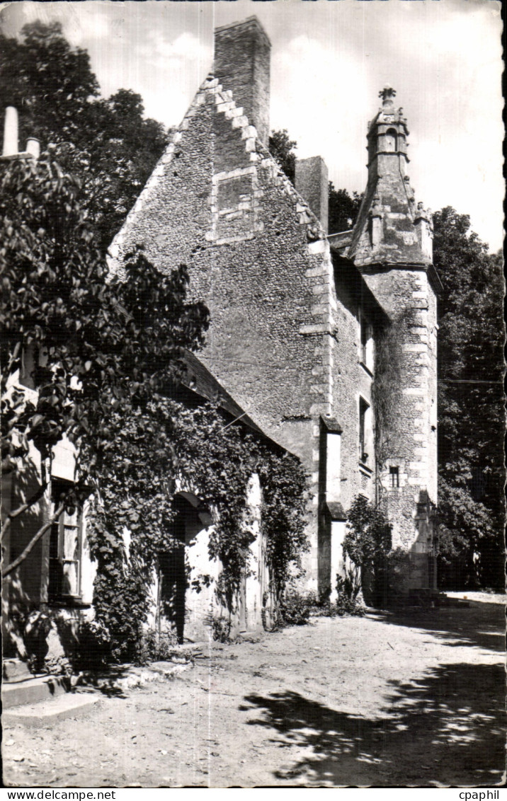 CPA Chateau du Loir (Sarthe) Chateau de Riablay