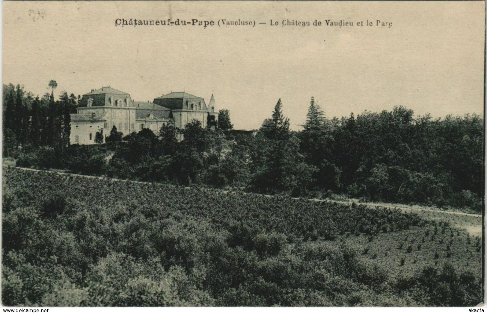 CPA CHATEAUNEUF-DU-PAPE Le Chateau de Vaudieu et le Parc (1086213)