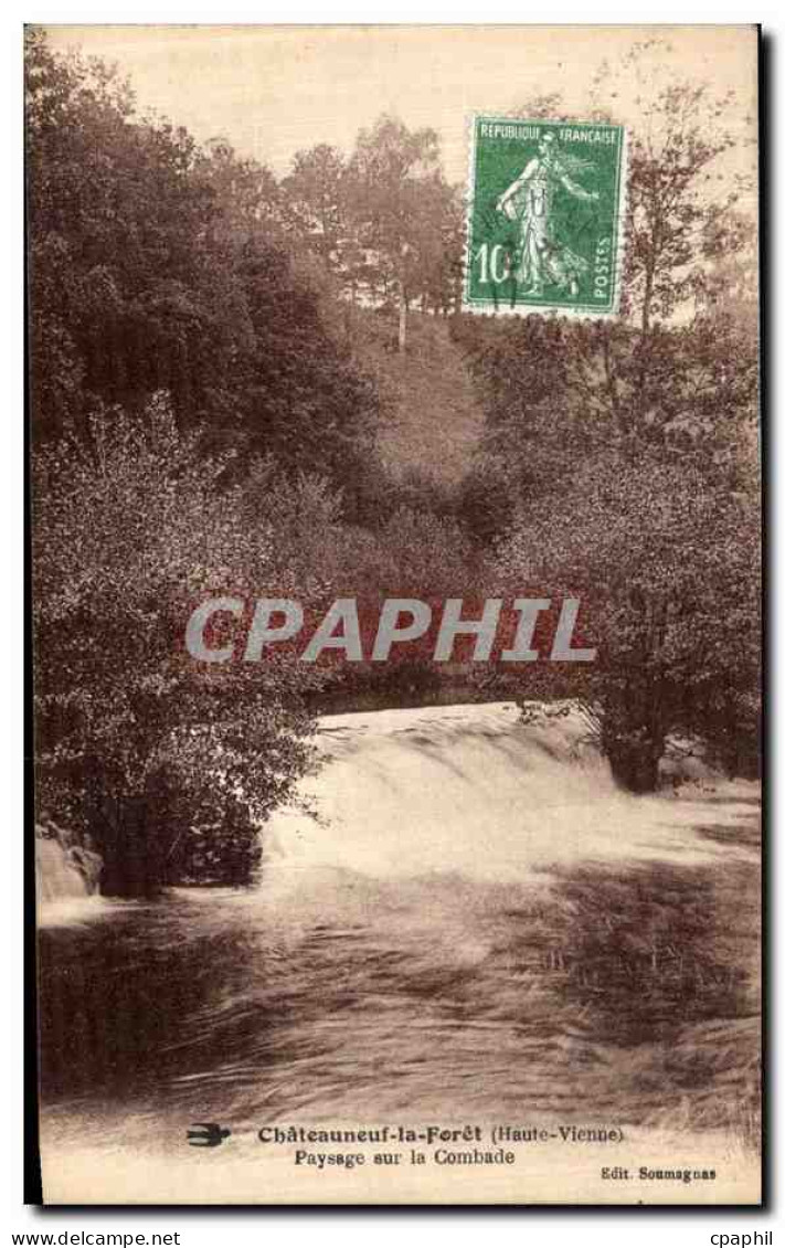 CPA Chateauneuf la Foret Paysage Sur La Combade
