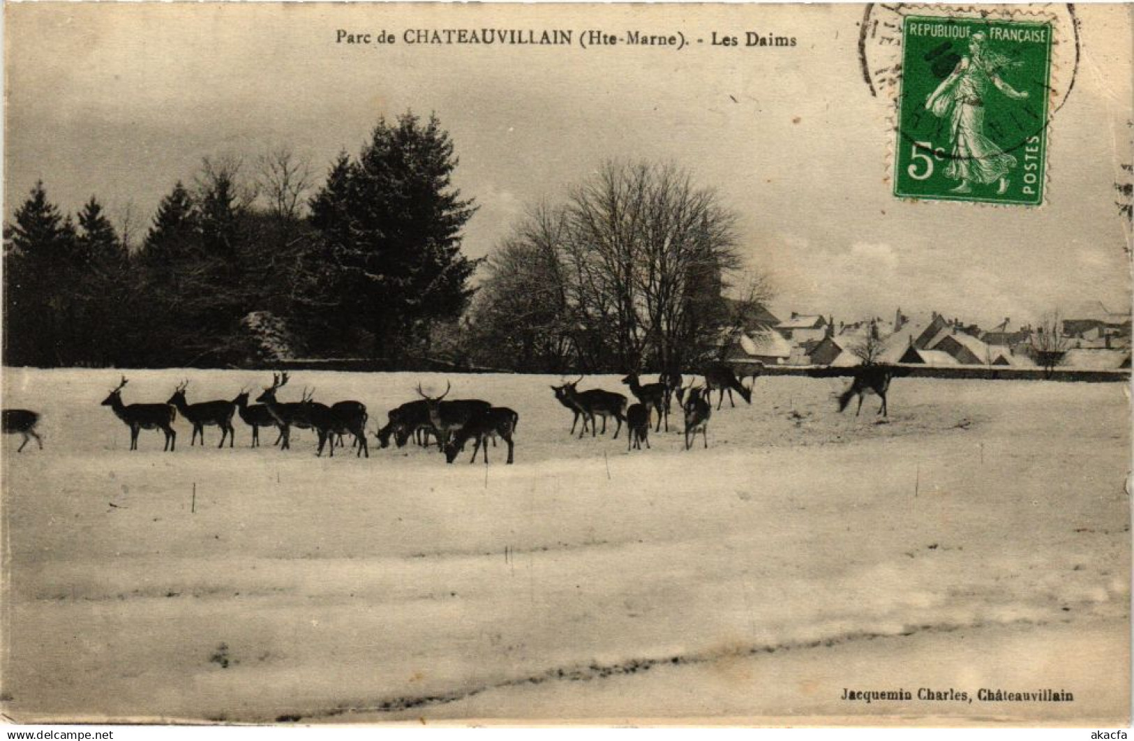 CPA Chateauvillain - Les Daims (270116)