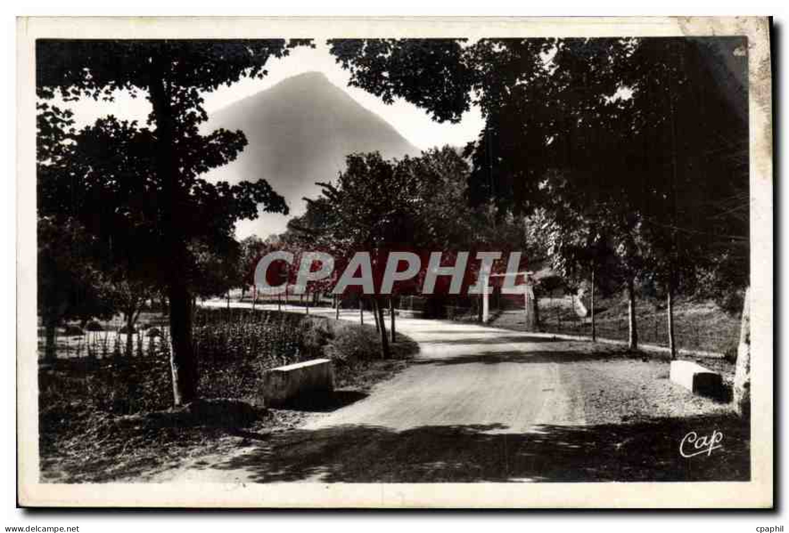 CPA Chatillon en Diois Promenade du Parc