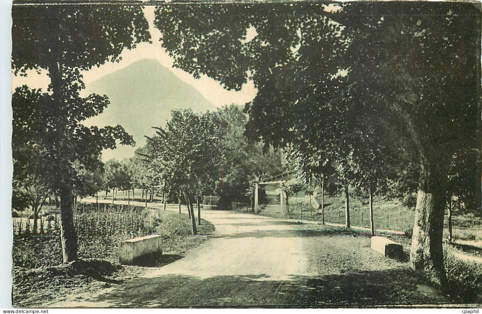 CPA Chatillon en Diois Promenade du Parc