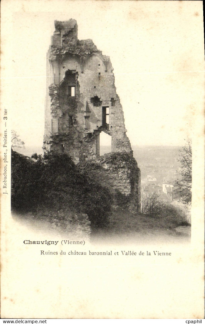 CPA Chauvigny Ruines du Chateau baronnial et Vallee de la Vienne