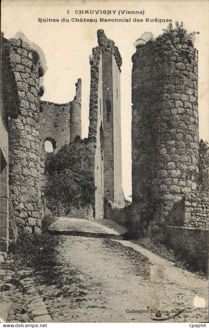 CPA Chauvigny (Vienne) Ruines du Chateau Baronnial des Eveques
