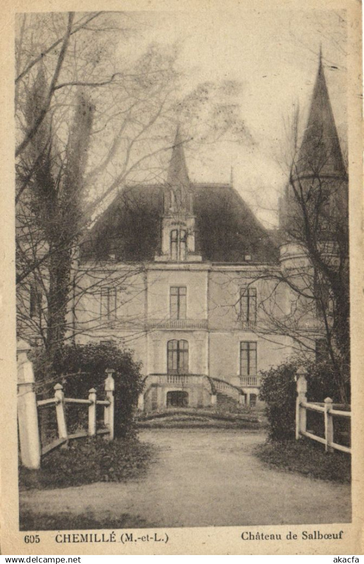 CPA CHEMILLE - Chateau de Salboeuf (171430)